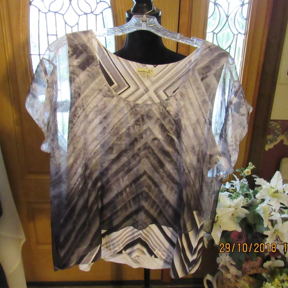JB603.  Beautiful Sheer Overlay Top.  Size 1X